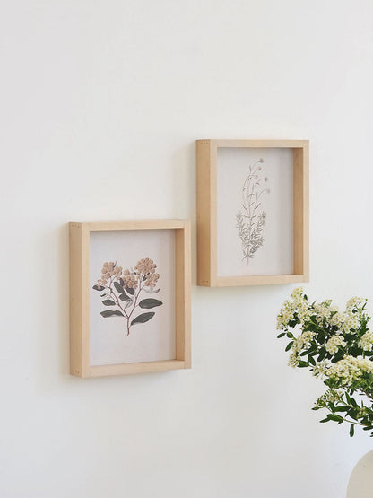 White Scabious Framed Print 8.5x7'