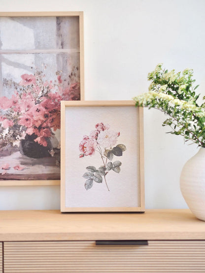 Watercolour Rose Framed Print 12x9'