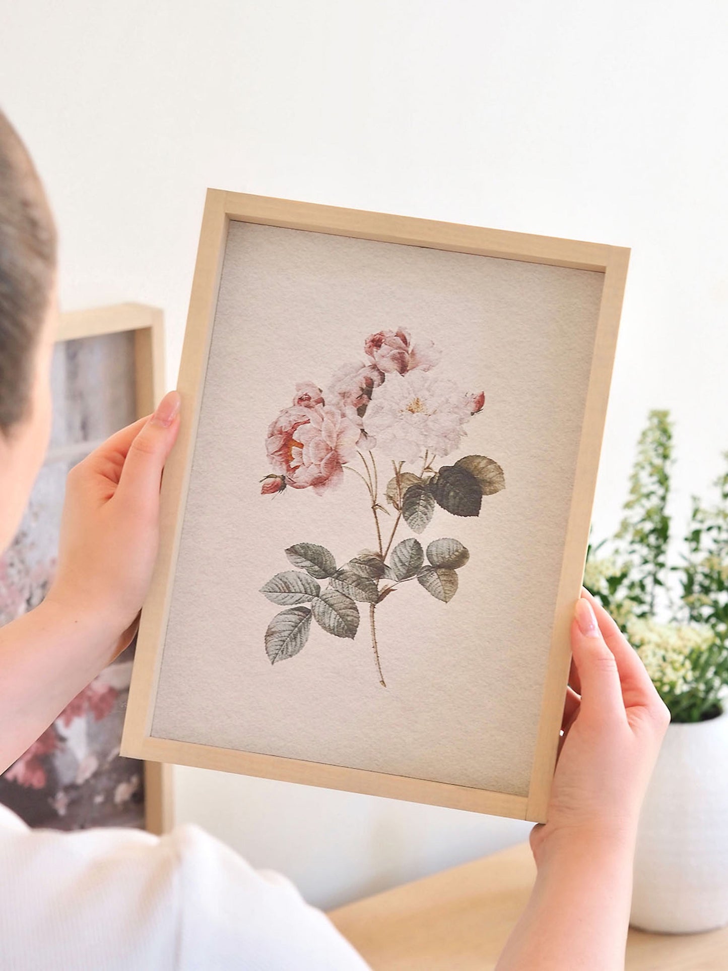 Watercolour Rose Framed Print 12x9'