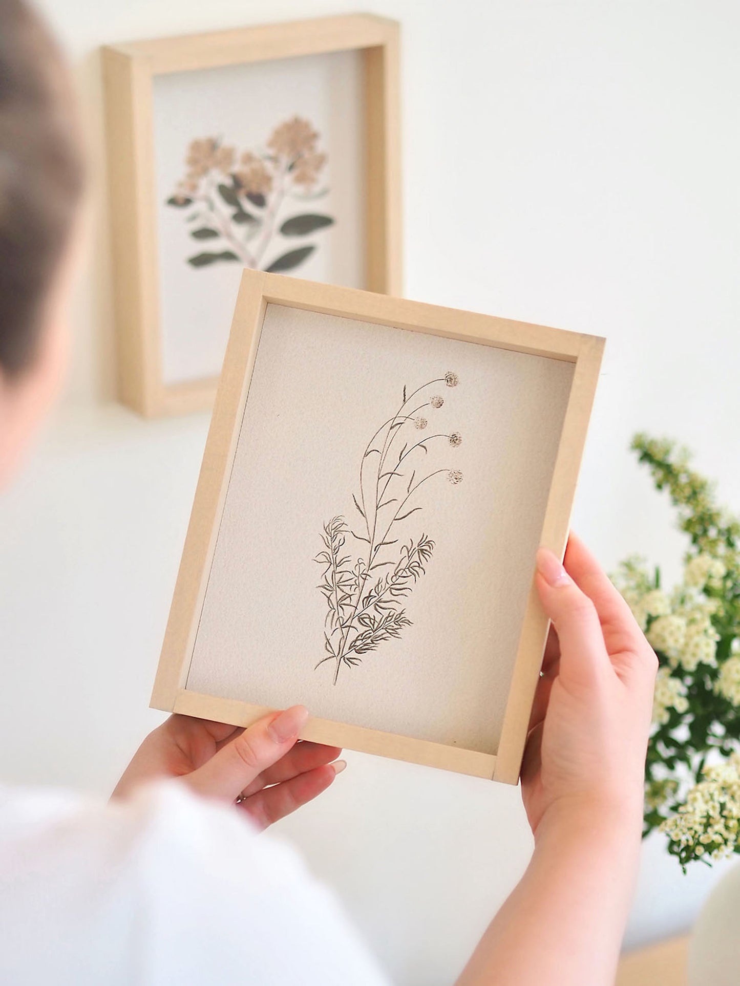 White Scabious Framed Print 8.5x7'