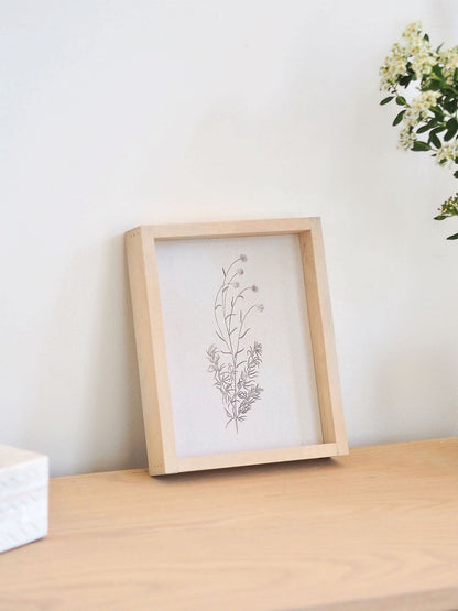 White Scabious Framed Print 8.5x7'